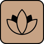 Formations Pôle Massage & Bien-être